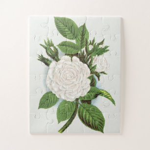 Puzzle Arte Botánico Cottagecore de Rosa Musgosa Blanca V