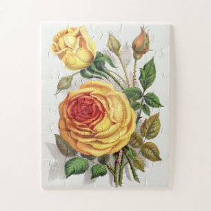 Puzzle Arte Botánico Vintage Rosa Amarilla y Naranja de A