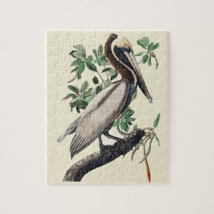 Puzzle Arte de Ave Costera Pelícano Pardo Vintage Audubon