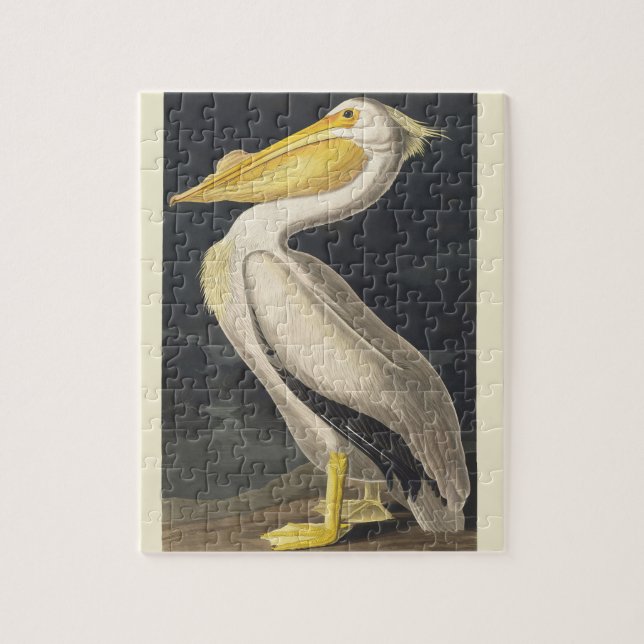 Puzzle Arte de ave del pelícano blanco americano de Audub (Vertical)