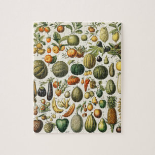 Puzzle Arte de cartel vintage de frutas botánicas frances