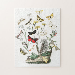 Puzzle Arte de Ilustracion de mariposas y polillas de épo