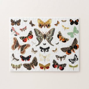 Puzzle Arte de Ilustracion de mariposas y polillas de épo