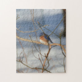 Puzzle Arte de la Naturaleza de Winter Bluebird