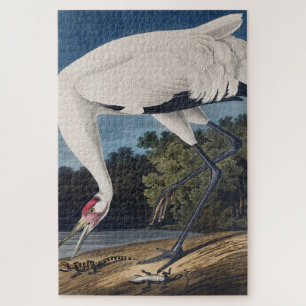 Puzzle Arte de Naturaleza del Pájaro Grulla Trompetera Vi