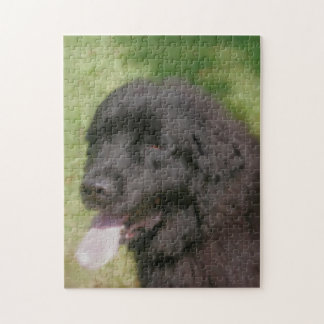 Puzzle Arte de perro en Terranova Negra