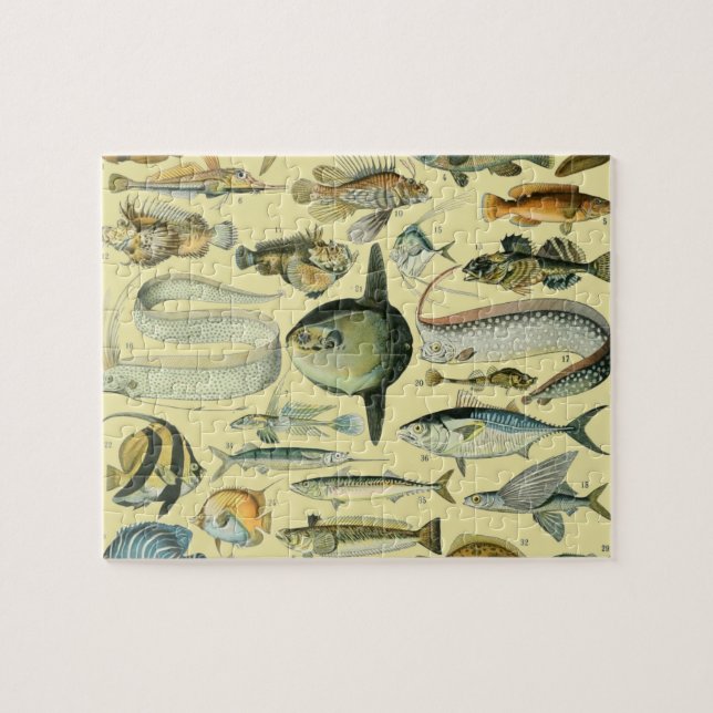 Puzzle Arte de pesca científica de peces de época (Horizontal)