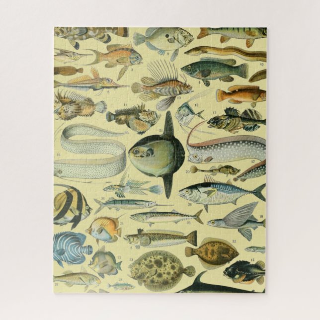 Puzzle Arte de pesca científica de peces de época (Vertical)