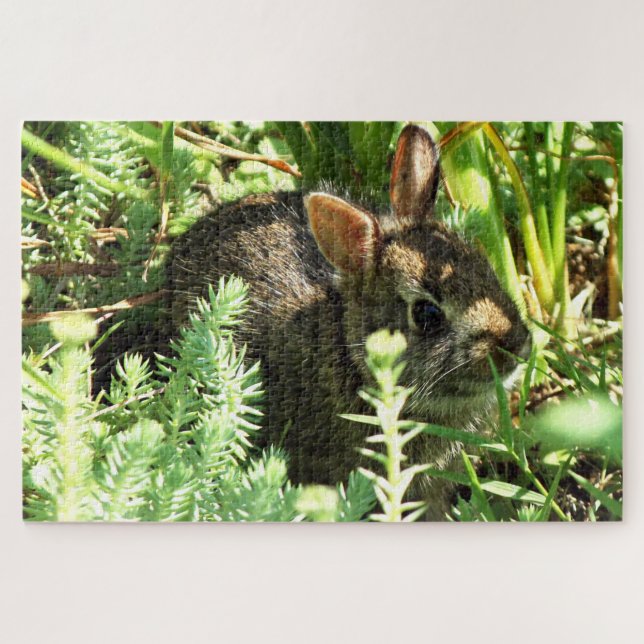 Puzzle Artes de Arisdale: Conejo joven en hierba (Horizontal)