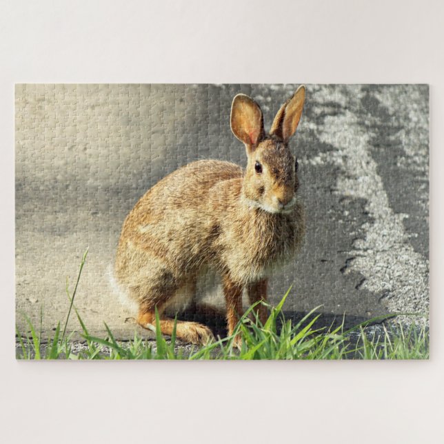 Puzzle Artes de Arisdale: Sentado en conejo salvaje (Horizontal)
