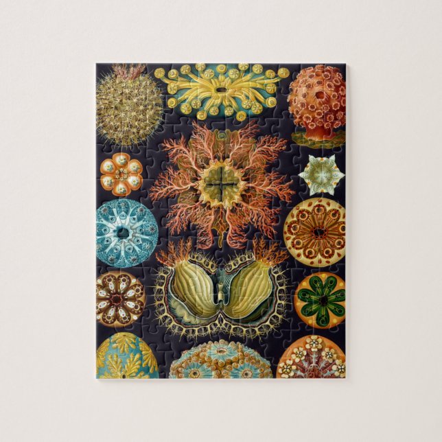 Puzzle Ascidiae de Ernst Haeckel, Animales Marinos Vintag (Vertical)