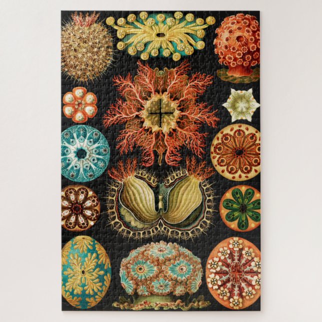 Puzzle Ascidiae, Seescheiden Marine Life, por Ernst Haeck (Vertical)