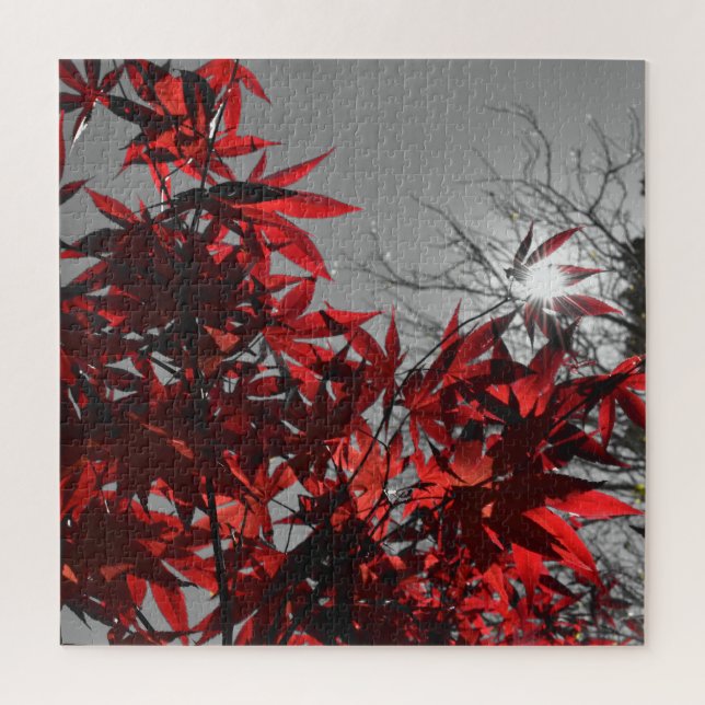 Puzzle Ascuas de Otoño (Vertical)