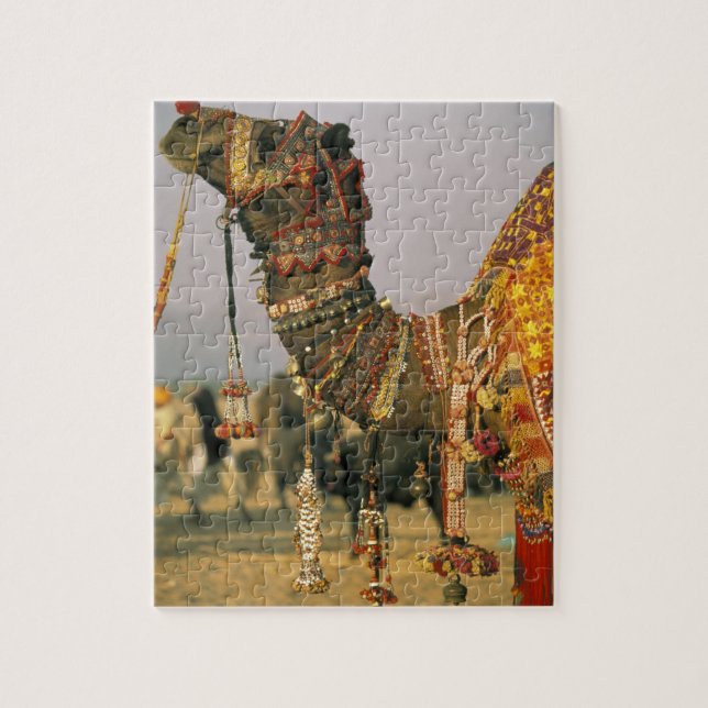Puzzle Asia, India, Pushkar. Camello Shamu, Pushkar (Vertical)