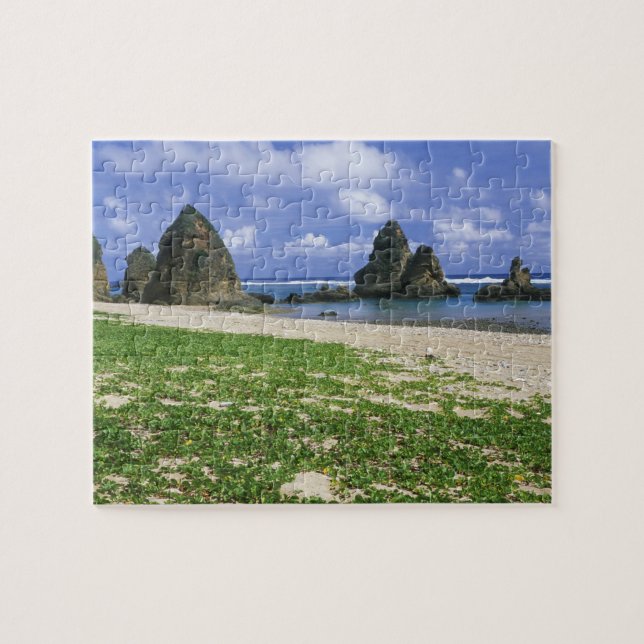 Puzzle Asia, Japón, Okinawa, costa de Yambaru, mar (Horizontal)