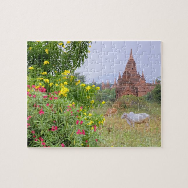 Puzzle Asia, Myanmar (Birmania), Bagan (Pagan). Vacas (Horizontal)