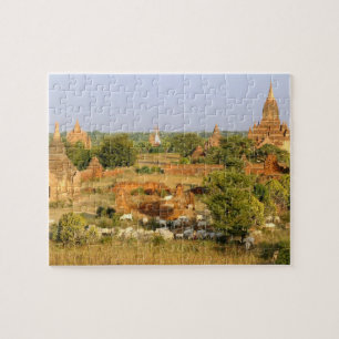 Puzzle Asia, Myanmar (Birmania), Bagan (Pagan). Vacas pas