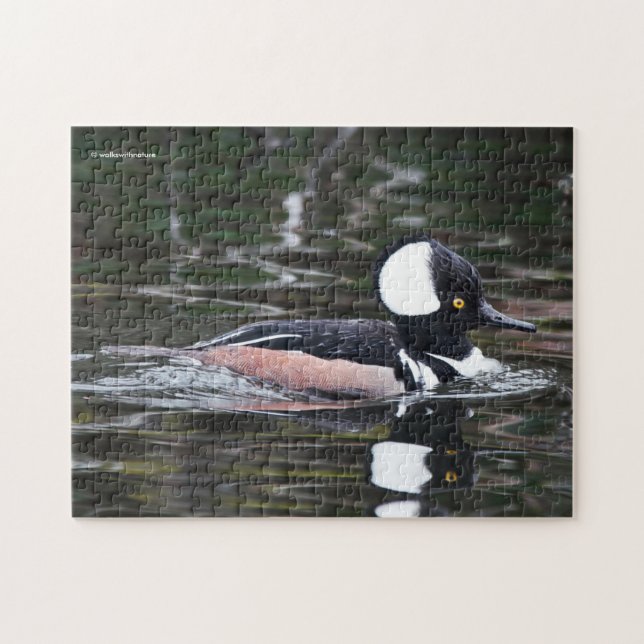 Puzzle Asombroso gallo de merganser en un estanque (Horizontal)