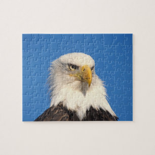Puzzle Aspecto de águila calva