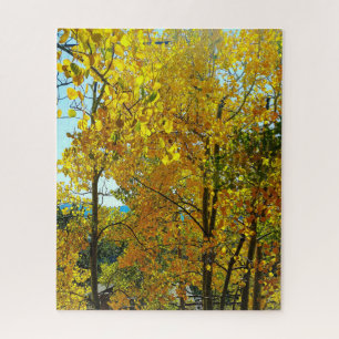 Puzzle Aspen Trees Caen Hojas