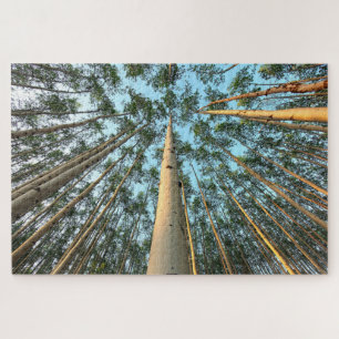 Puzzle Aspen Trunks And Leaves, Yukón