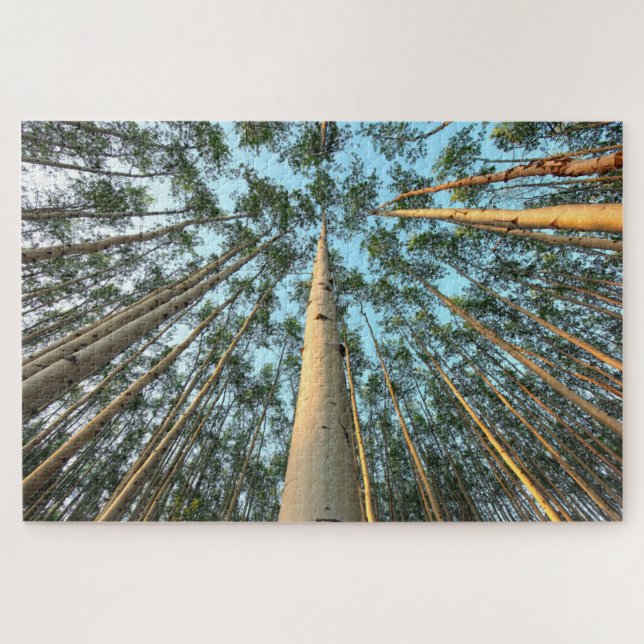 Puzzle Aspen Trunks And Leaves, Yukón (Horizontal)