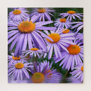 Puzzle Aster tongolensis