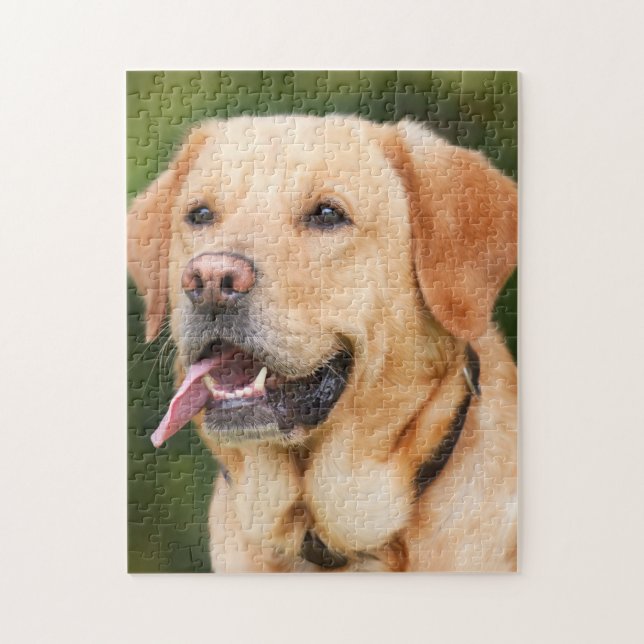 Puzzle Atontamiento Labrador (Vertical)