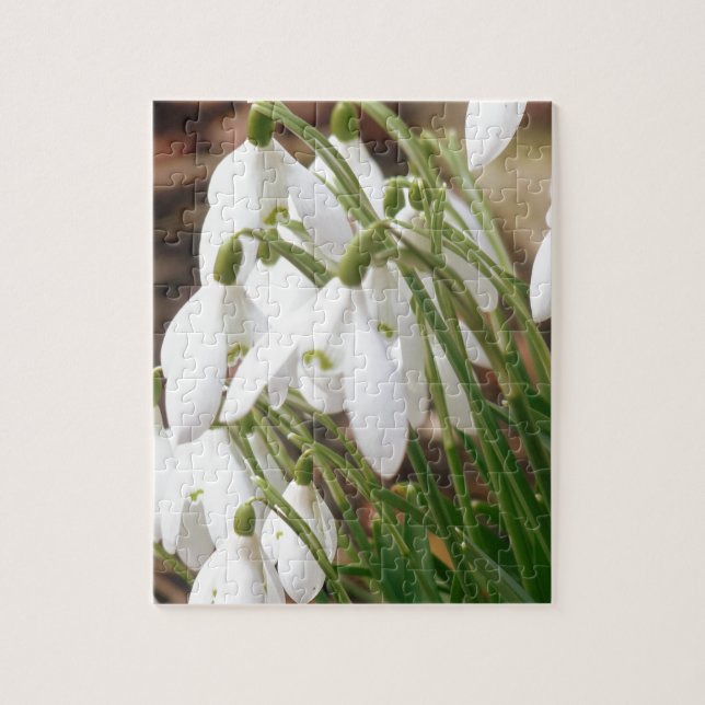 Puzzle Atontamiento Snowdrops (Vertical)
