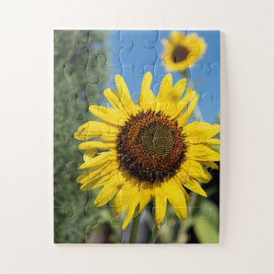 Puzzle Atractivo girasol