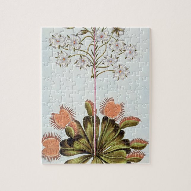 Puzzle Atrapamoscas de Venus, placa 84, de la 'colección (Vertical)