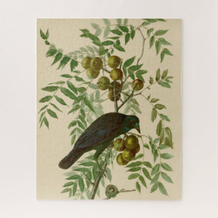 Puzzle Audubon American Crow Black Bird