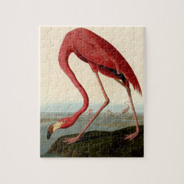 Puzzle Audubon American Flamingo