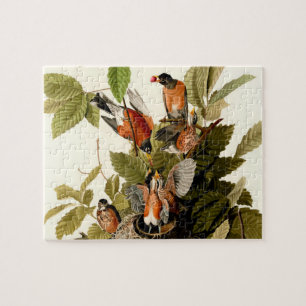 Puzzle Audubon American Robin Wildlife Bird Illustration