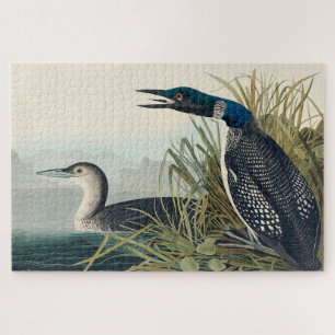 Puzzle Audubon Bird Lodge Diver Classic
