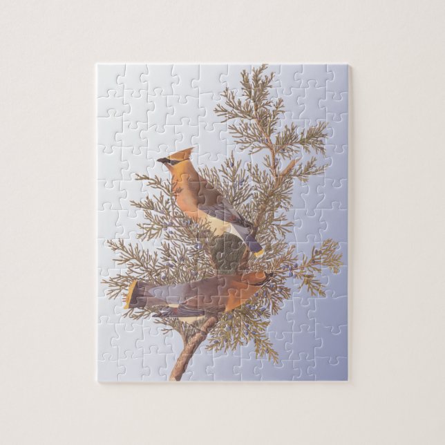 Puzzle Audubon Cedar Waxwing Bird en Evergreen Juniper (Vertical)