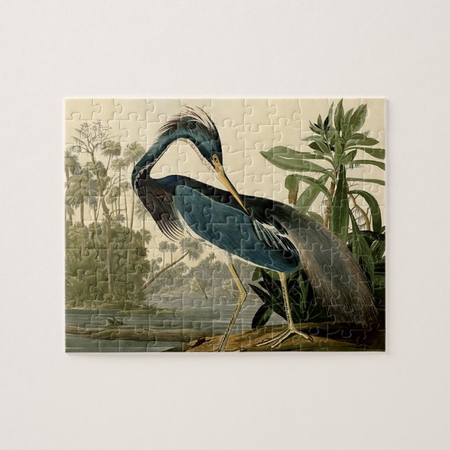 Puzzle Audubon Louisiana Heron Birds America Art (Horizontal)