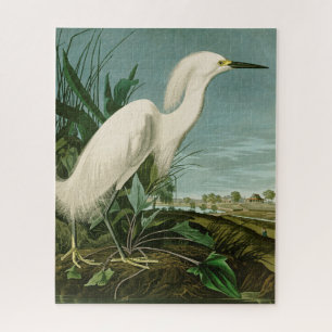 Puzzle Audubon Snowy Heron White Egret Bird