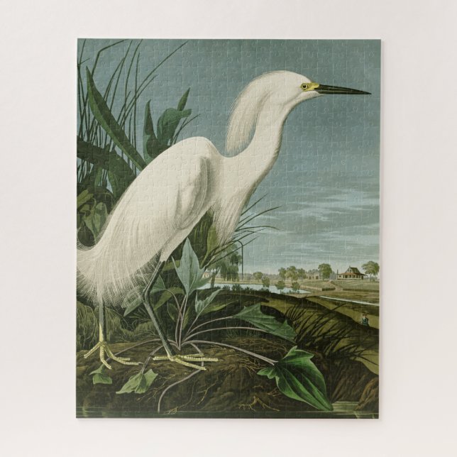 Puzzle Audubon Snowy Heron White Egret Bird (Vertical)