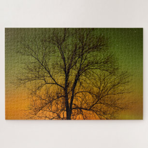 Puzzle Aurora boreal y árbol de algodón