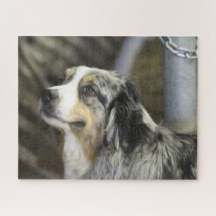 Puzzle Aussie