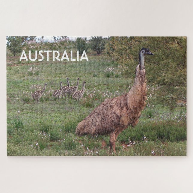 Puzzle Australia: Emú para el padre y pollitas, Outback (Horizontal)