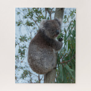 Puzzle Australia Kangaroo Island Koala Tree, 520 piezas