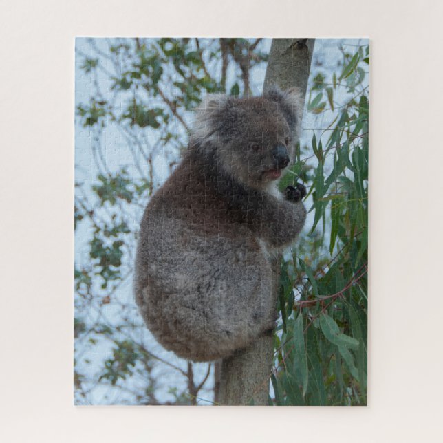 Puzzle Australia Kangaroo Island Koala Tree, 520 piezas (Vertical)