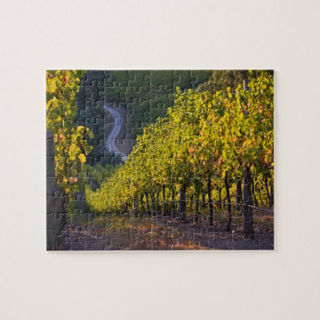 Puzzle Australia Meridional, Adelaide Hills, Summertown.  (Horizontal)