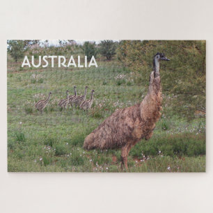 Puzzle Australia: Padre emu y pollitos, Outback