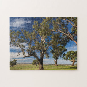 Puzzle Australia, Valle de Barossa, Monte Pleasant