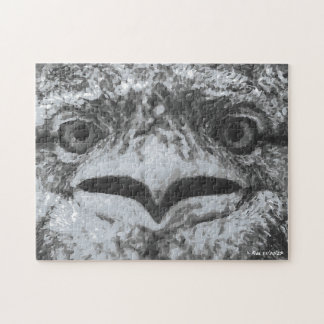 Puzzle Australian Wildlife, Nature's Curmudgeon, Animal