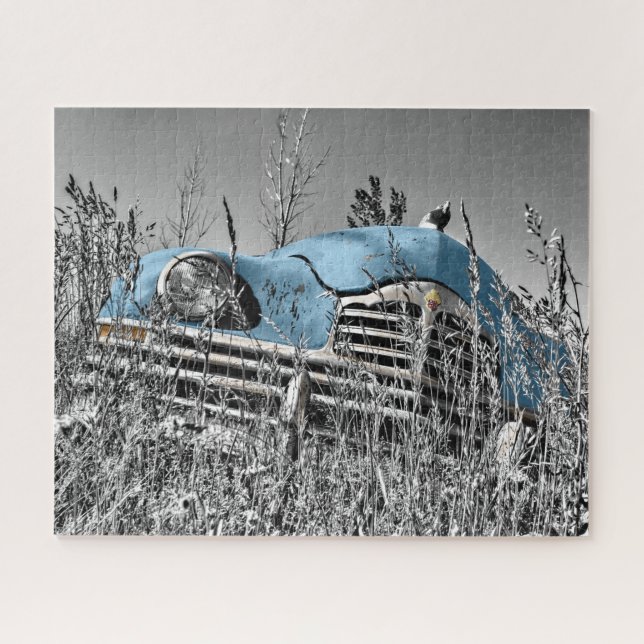 Puzzle Auto azul vintage en campo de hierba (Horizontal)