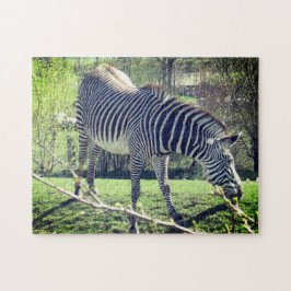 Puzzle Autocuidado para relajación de cebra